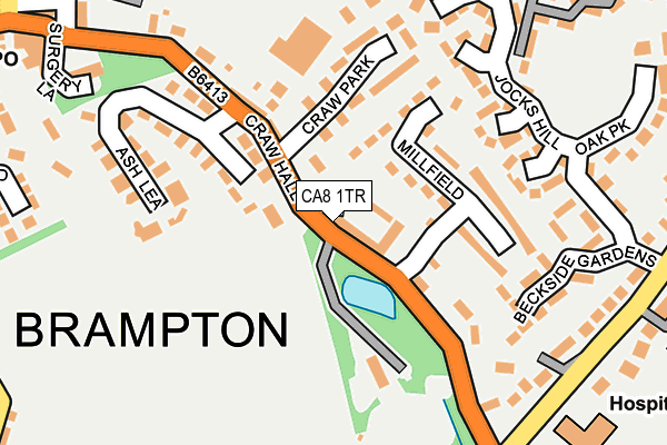 CA8 1TR map - OS OpenMap – Local (Ordnance Survey)