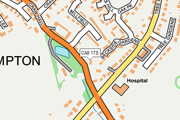 CA8 1TS map - OS OpenMap – Local (Ordnance Survey)