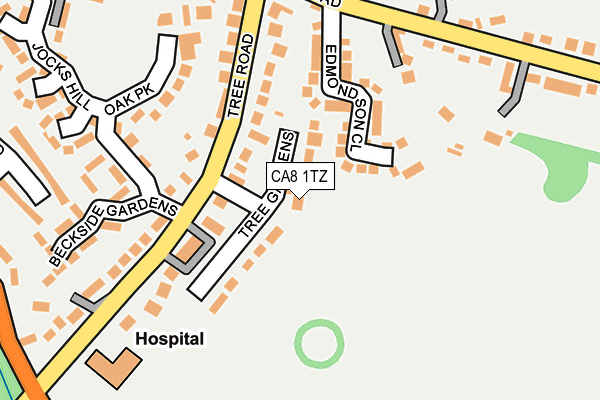 CA8 1TZ map - OS OpenMap – Local (Ordnance Survey)