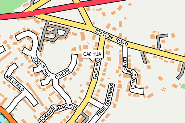 CA8 1UA map - OS OpenMap – Local (Ordnance Survey)