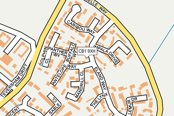 CB1 9XH map - OS OpenMap – Local (Ordnance Survey)