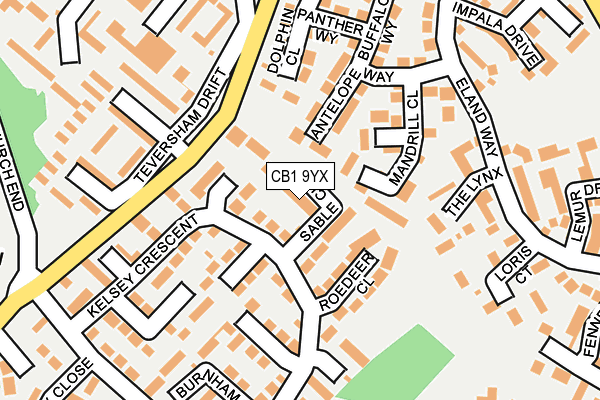 CB1 9YX map - OS OpenMap – Local (Ordnance Survey)