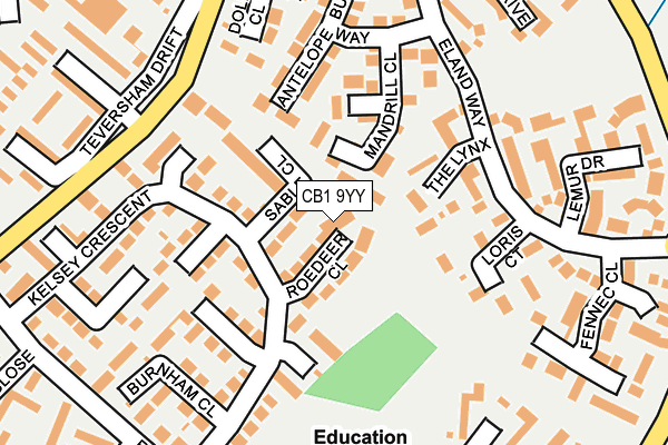 CB1 9YY map - OS OpenMap – Local (Ordnance Survey)