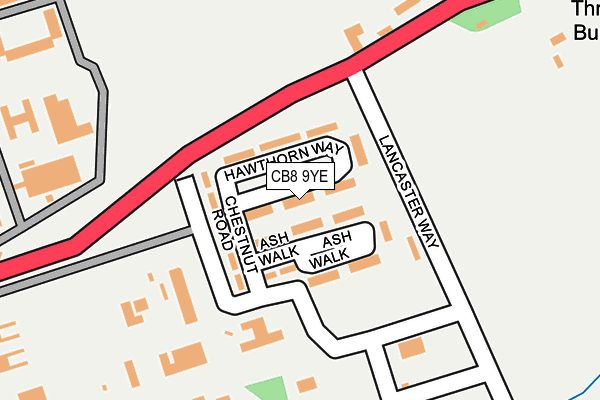 CB8 9YE map - OS OpenMap – Local (Ordnance Survey)