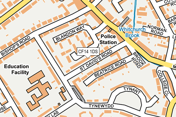 CF14 1DS map - OS OpenMap – Local (Ordnance Survey)