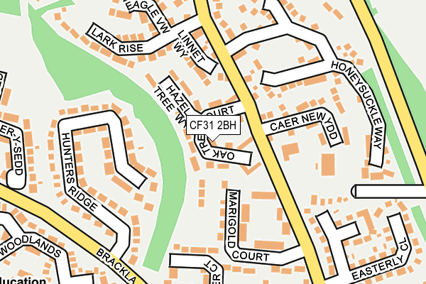 CF31 2BH map - OS OpenMap – Local (Ordnance Survey)