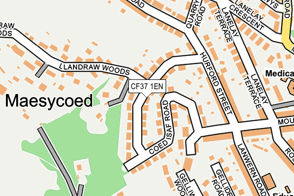 CF37 1EN map - OS OpenMap – Local (Ordnance Survey)