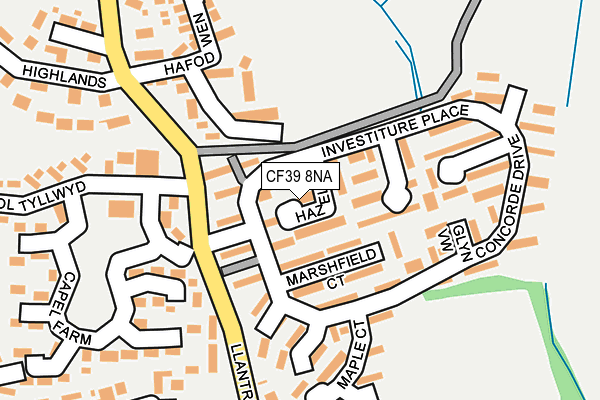 CF39 8NA map - OS OpenMap – Local (Ordnance Survey)