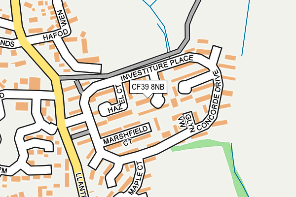 CF39 8NB map - OS OpenMap – Local (Ordnance Survey)