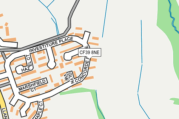 CF39 8NE map - OS OpenMap – Local (Ordnance Survey)