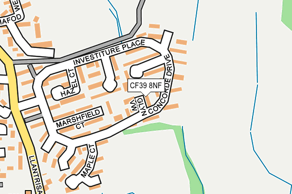 CF39 8NF map - OS OpenMap – Local (Ordnance Survey)