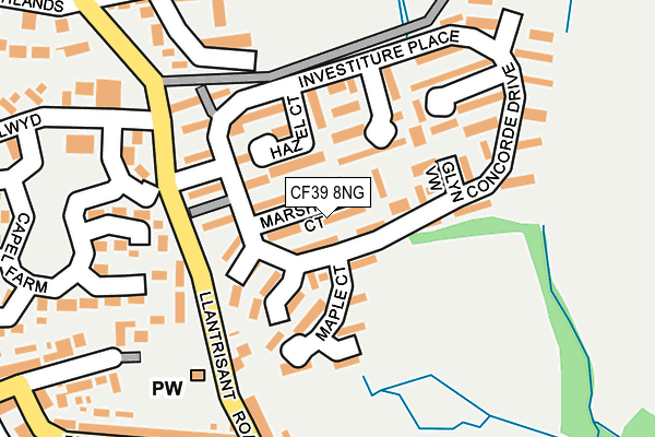 CF39 8NG map - OS OpenMap – Local (Ordnance Survey)