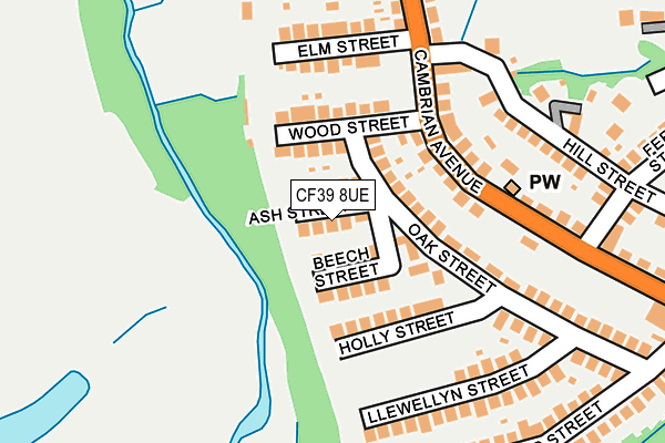 CF39 8UE map - OS OpenMap – Local (Ordnance Survey)