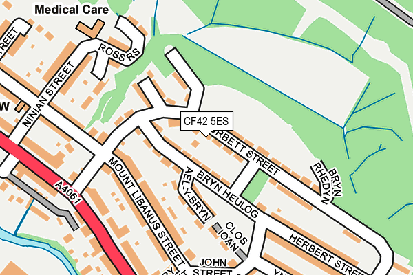 CF42 5ES map - OS OpenMap – Local (Ordnance Survey)