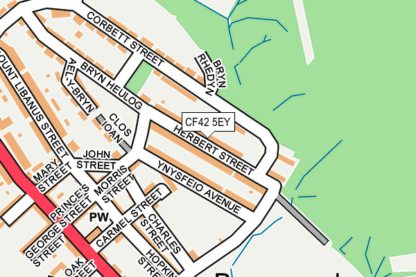 CF42 5EY map - OS OpenMap – Local (Ordnance Survey)