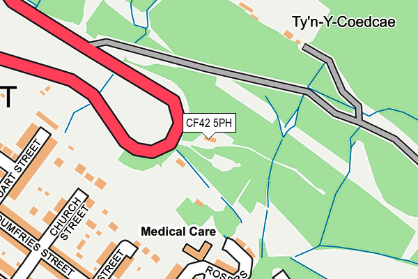 CF42 5PH map - OS OpenMap – Local (Ordnance Survey)