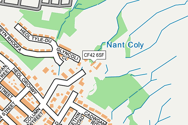 CF42 6SF map - OS OpenMap – Local (Ordnance Survey)