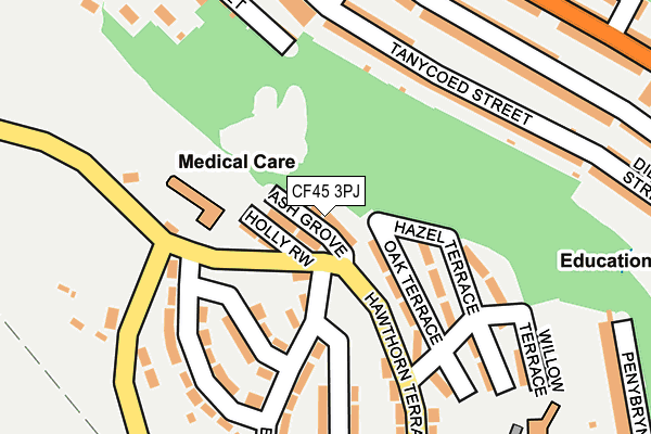 CF45 3PJ map - OS OpenMap – Local (Ordnance Survey)