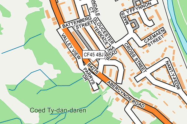 CF45 4BJ map - OS OpenMap – Local (Ordnance Survey)