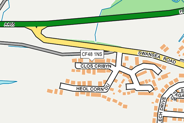 CF48 1NS map - OS OpenMap – Local (Ordnance Survey)