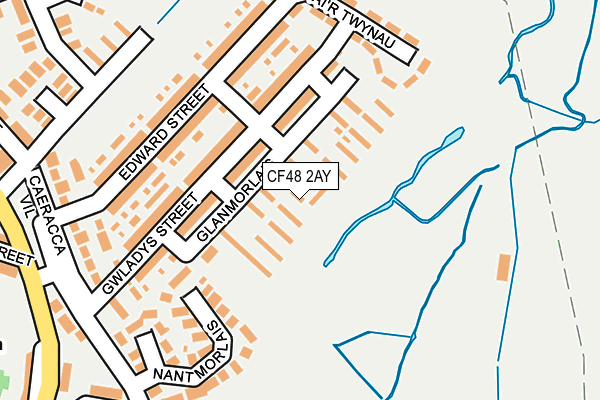 CF48 2AY map - OS OpenMap – Local (Ordnance Survey)