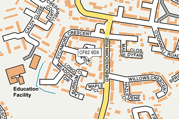 CF62 9DX map - OS OpenMap – Local (Ordnance Survey)