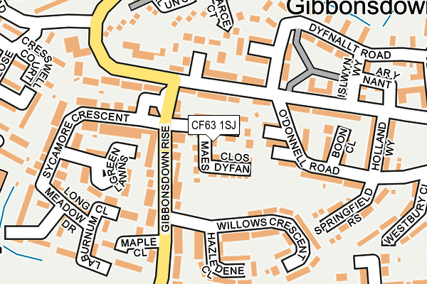 CF63 1SJ map - OS OpenMap – Local (Ordnance Survey)