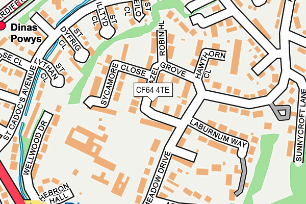 CF64 4TE map - OS OpenMap – Local (Ordnance Survey)