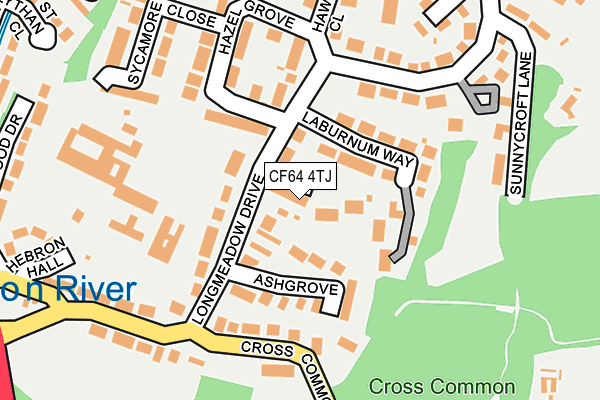 CF64 4TJ map - OS OpenMap – Local (Ordnance Survey)