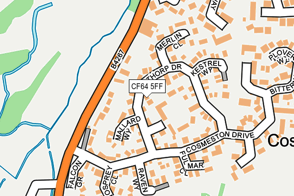 CF64 5FF map - OS OpenMap – Local (Ordnance Survey)