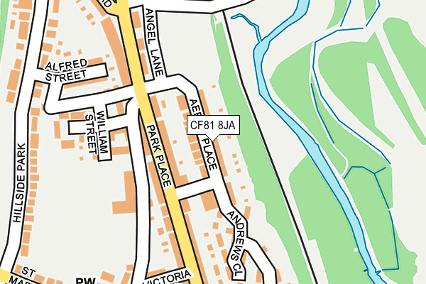 CF81 8JA map - OS OpenMap – Local (Ordnance Survey)