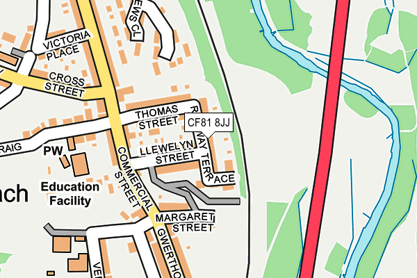 CF81 8JJ map - OS OpenMap – Local (Ordnance Survey)