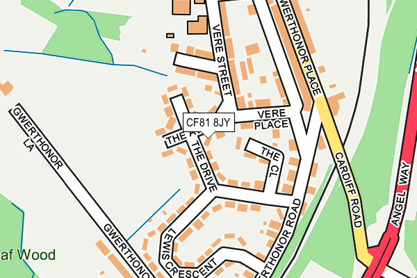 CF81 8JY map - OS OpenMap – Local (Ordnance Survey)