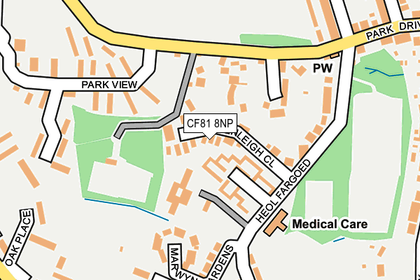 CF81 8NP map - OS OpenMap – Local (Ordnance Survey)