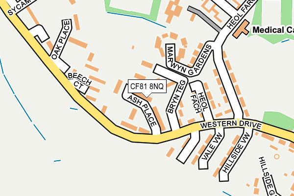 CF81 8NQ map - OS OpenMap – Local (Ordnance Survey)