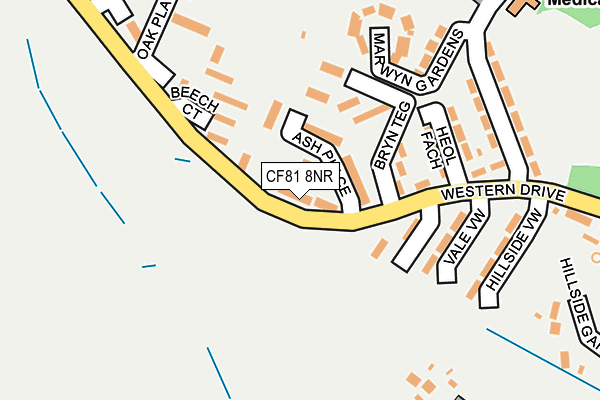 CF81 8NR map - OS OpenMap – Local (Ordnance Survey)