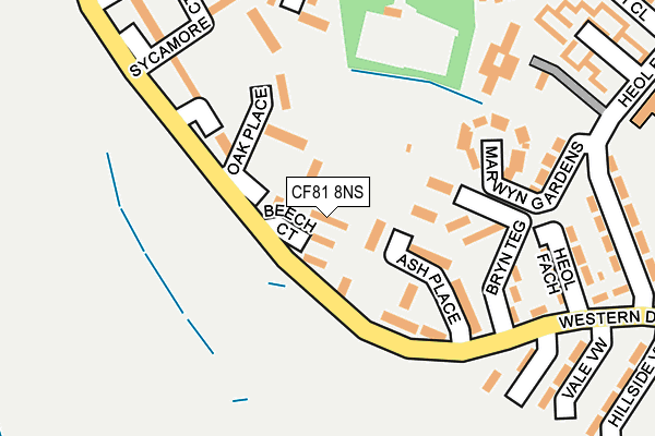 CF81 8NS map - OS OpenMap – Local (Ordnance Survey)