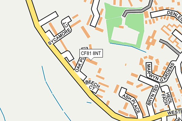 CF81 8NT map - OS OpenMap – Local (Ordnance Survey)
