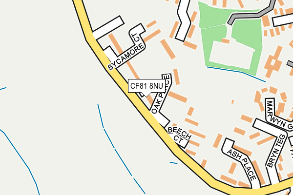CF81 8NU map - OS OpenMap – Local (Ordnance Survey)