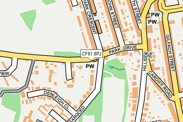CF81 8PJ map - OS OpenMap – Local (Ordnance Survey)