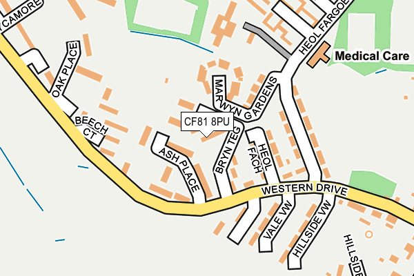 CF81 8PU map - OS OpenMap – Local (Ordnance Survey)