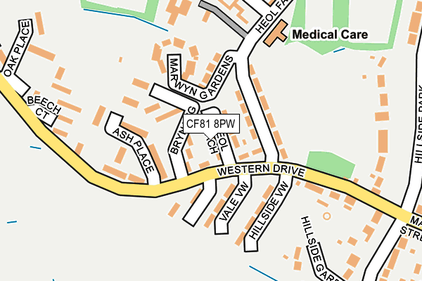 CF81 8PW map - OS OpenMap – Local (Ordnance Survey)