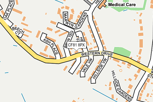 CF81 8PX map - OS OpenMap – Local (Ordnance Survey)