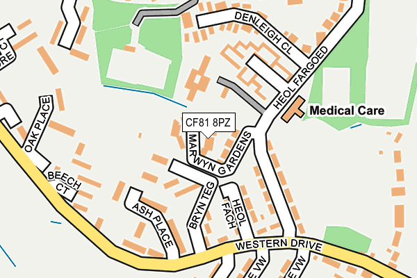 CF81 8PZ map - OS OpenMap – Local (Ordnance Survey)