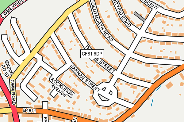 CF81 9DP map - OS OpenMap – Local (Ordnance Survey)