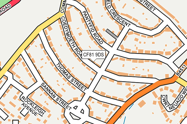 CF81 9DS map - OS OpenMap – Local (Ordnance Survey)