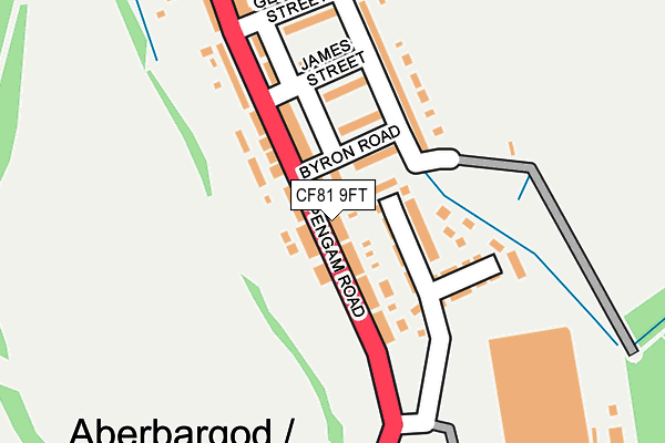 CF81 9FT map - OS OpenMap – Local (Ordnance Survey)