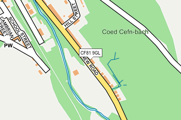 CF81 9GL map - OS OpenMap – Local (Ordnance Survey)