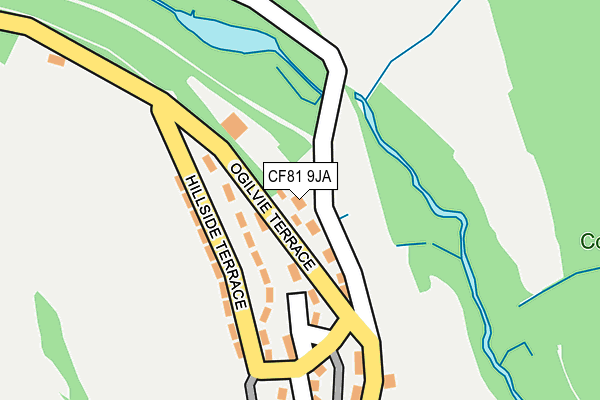 CF81 9JA map - OS OpenMap – Local (Ordnance Survey)
