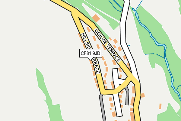 CF81 9JD map - OS OpenMap – Local (Ordnance Survey)